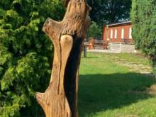 Rekreace přehrada Hracholusky - Hracholusky