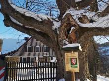 Chalupa Zorča - Dolní Rokytnice