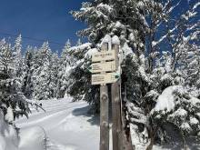 Chalupa Zorča - Dolní Rokytnice