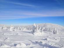 Chalupa Zorča - Dolní Rokytnice