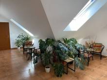 Apartmány k pronájmu - Tušť