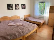 Apartmány Slapy Nová Živohošť - Nová Živohošť