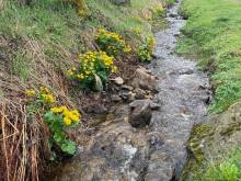 Vsrdci Šumavy - Apartmán ELIŠKA - Prášily