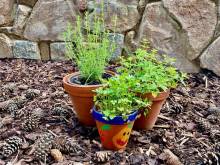 Apartmány Pod Kozákem - Lojovice