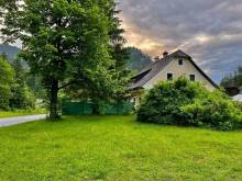 Wild Alps - 