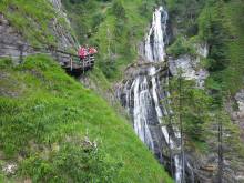Wild Alps - 