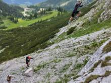 Wild Alps - 