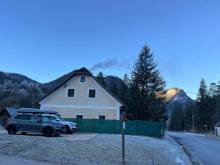 Wild Alps - 