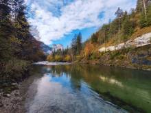 Wild Alps - 