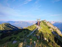 Wild Alps - 
