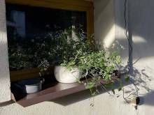 Apartmán U Růži - Sloup v Čechách