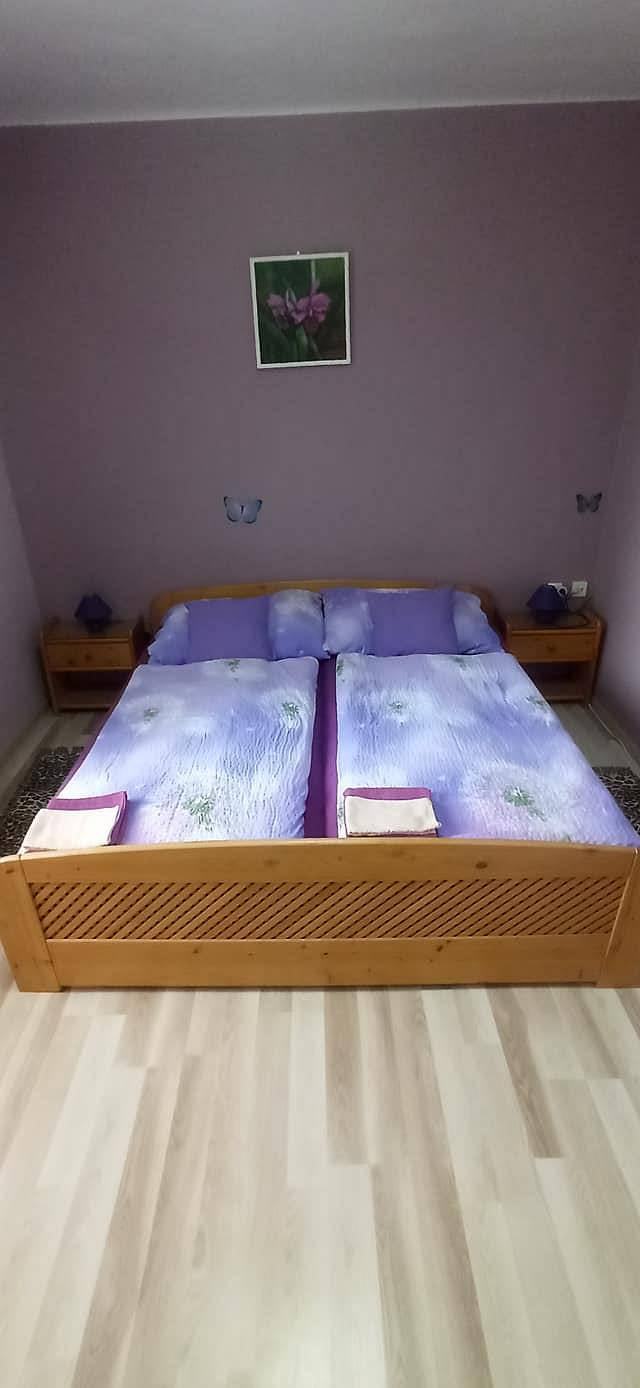 Apartmán Viktorie - Třeboň