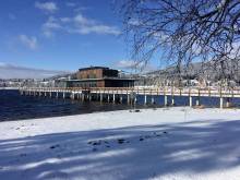 Apartmá Top Dental Lipno - Lipno nad Vltavou