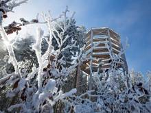 Apartmá Top Dental Lipno - Lipno nad Vltavou