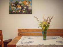 Penzion na statku - Štěpánovice