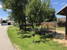 Borský penzion - Bor