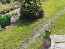 Apartmán Zelená zahrada - Lipová