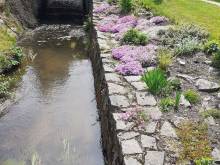 Apartmán Zelená zahrada - Lipová