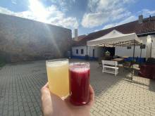 Malovaná chalupa - Hodonice