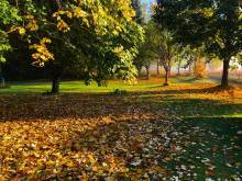 Apartmany Slavkovice - Lipno - Černá v Pošumaví