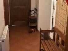 Chalupa u Kahounů - Pazderná Lhota