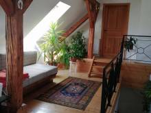 Apartmán k pronajmutí - Rozsochatec