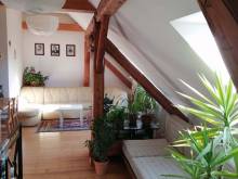 Apartmán k pronajmutí - Rozsochatec