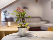 Apartmány V Domečku - Hlinsko
