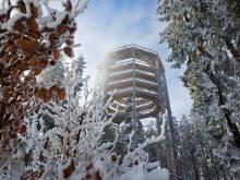 Apartmán C17 - Lipno nad Vltavou