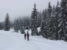 Apartment Obertraun - 
