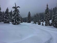 Apartment Obertraun - 
