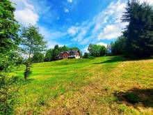 Chalupa u Dubu - Říčky v Orlických horách