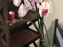 V Chalupě - Horní Vltavice