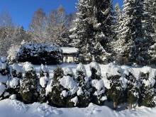 V Chalupě - Horní Vltavice