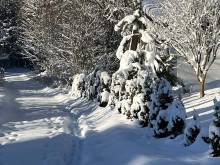 V Chalupě - Horní Vltavice