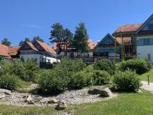 Apartmán Kapy - Lipno nad Vltavou