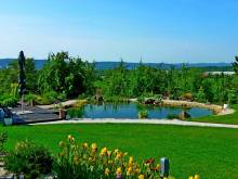 Apartmán Aradise - Malý Rohozec