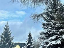 Apartmán u Potůčku - Kovářská