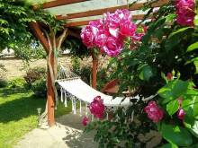 Starý dvůr pod Pálavou - Šakvice