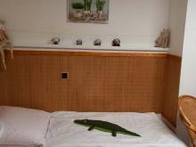 Apartmán U Parku - Protivín