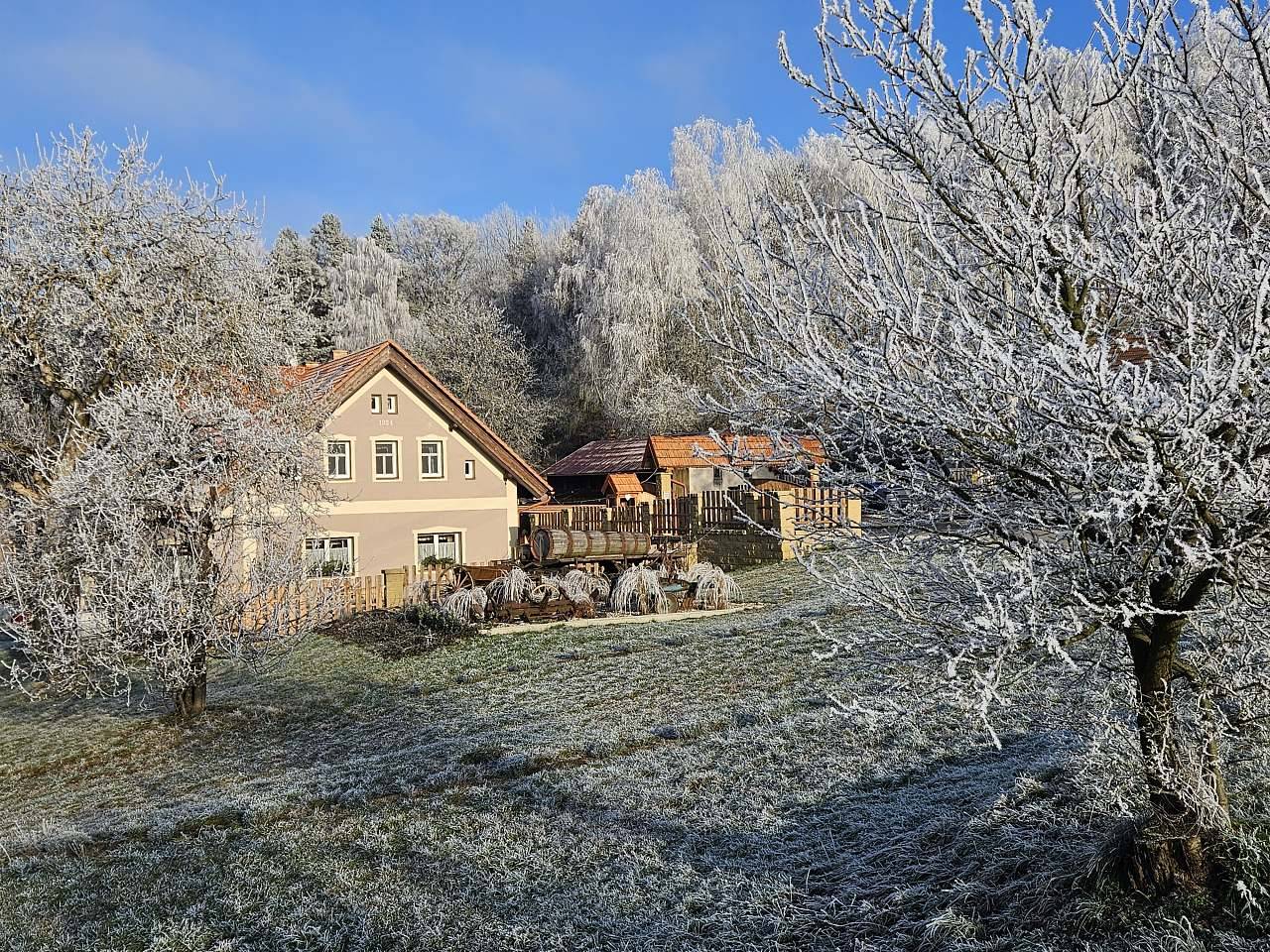 Božská usedlost - Loktuše