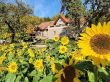 Božská usedlost - Loktuše