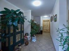 Božská usedlost - Loktuše