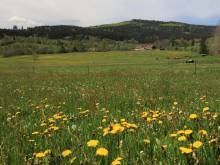 Ubytování Na starém městě - Volary