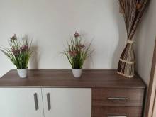 Familly Apartmens - Dolní Dunajovice