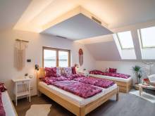 Apartmány Pinot - Velké Bílovice