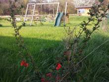 Apartmány Zelený Jelen - Stachy