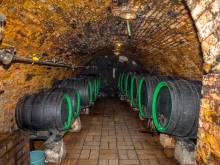 Vinný sklep s ubytováním - Velké Bílovice