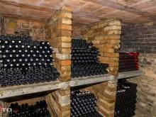 Vinný sklep s ubytováním - Velké Bílovice