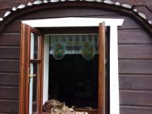 Apartmán pod skálou - Všemily